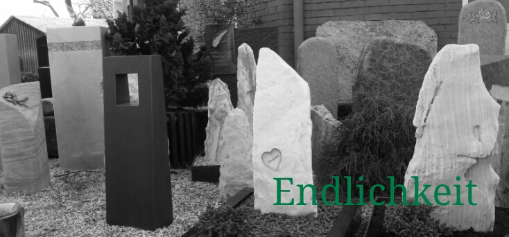 20150415_122201_20150415210135005