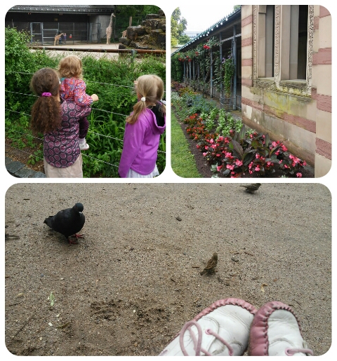 collage_20150525223936471