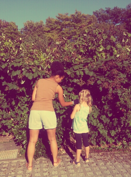 20150803_175716_20150803212504774