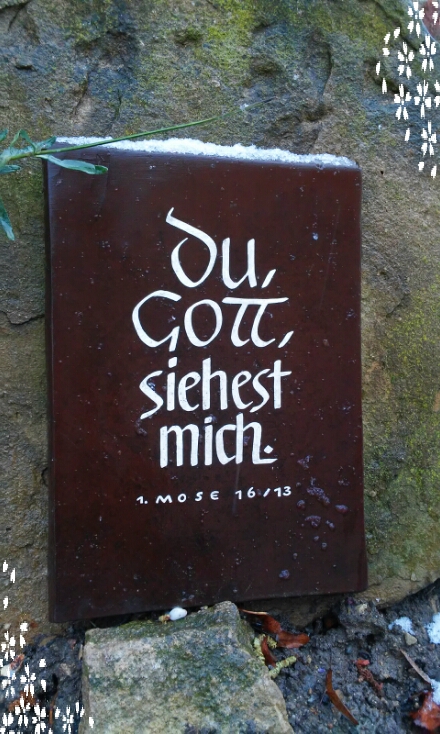 20160116_094757.jpg