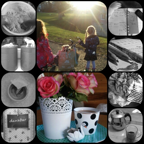 collage_20160126210652490.jpg