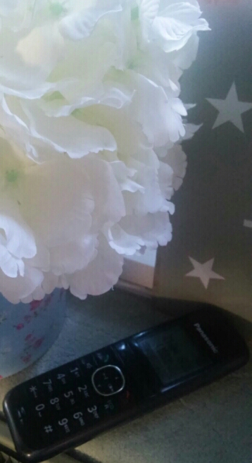 20160421_193639_20160422064926307.jpg